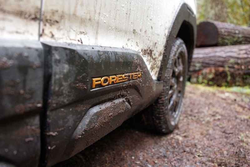 Новый Subaru Forester получил внедорожную версию Wilderness