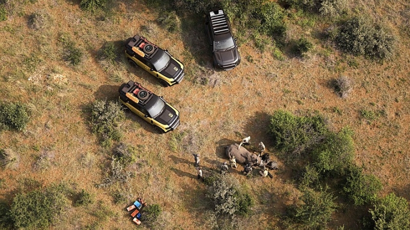 Trophy без Camel: суровые люди опять поедут в Африку на спецверсиях Defender