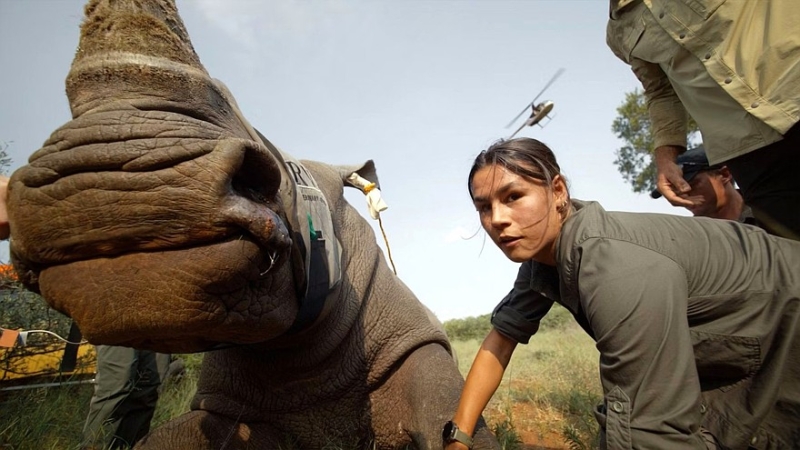 Trophy без Camel: суровые люди опять поедут в Африку на спецверсиях Defender