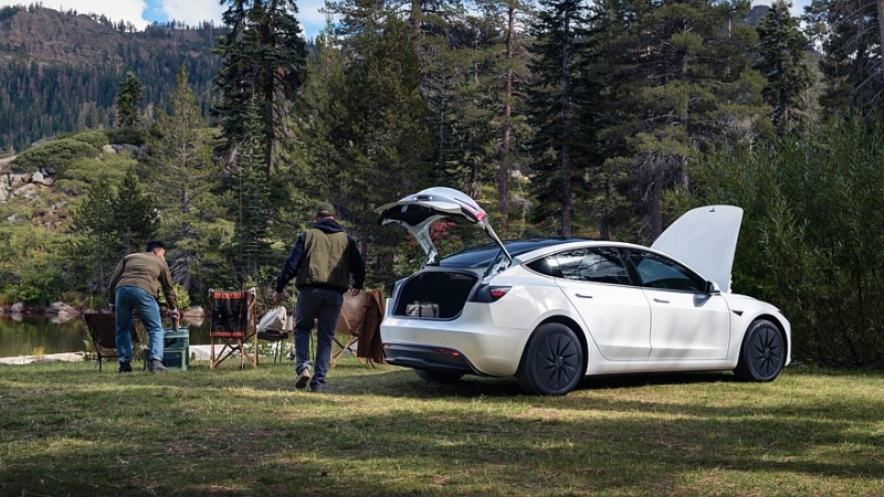 Голые и смешные: Tesla представила &laquo;дешёвые&raquo; Model Y Standard и Model 3 Standard