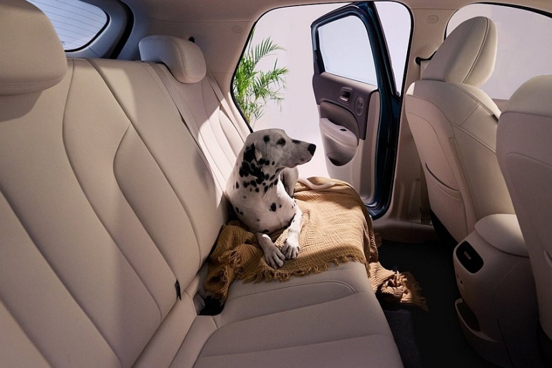 Не только электромобильный: линейку бренда Ora пополнят автомобили с ДВС